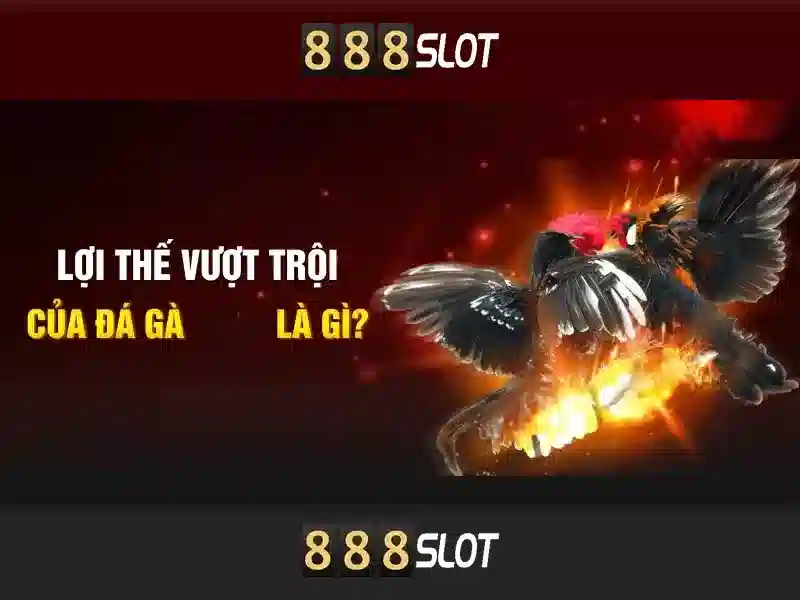 Trò chơi slot phổ biến