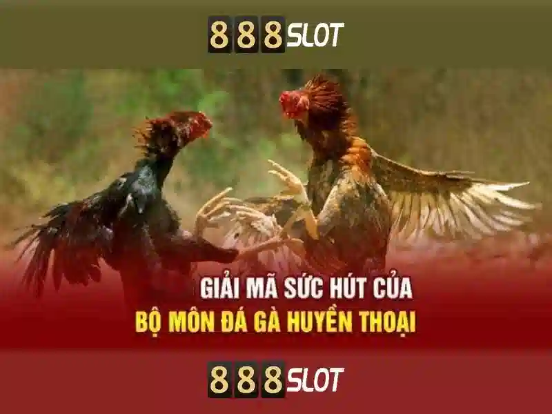 Khuyến mãi và dịch vụ khách hàng