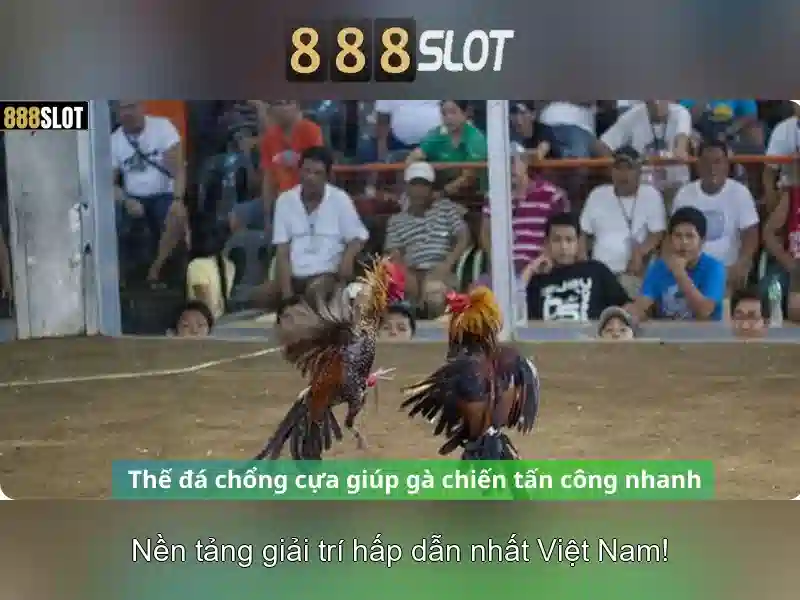 Giới thiệu về 888slot