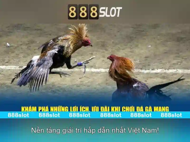 Khuyến mãi hấp dẫn và chính sách thanh toán an toàn