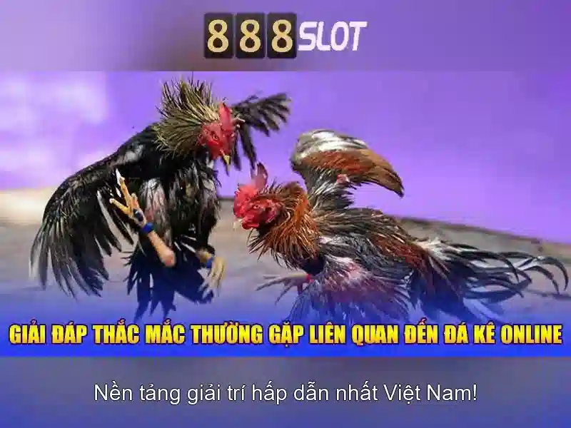 Trải nghiệm trò chơi và đa dạng chức năng