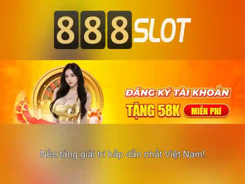 Hỗ trợ khách hàng và chương trình khuyến mãi