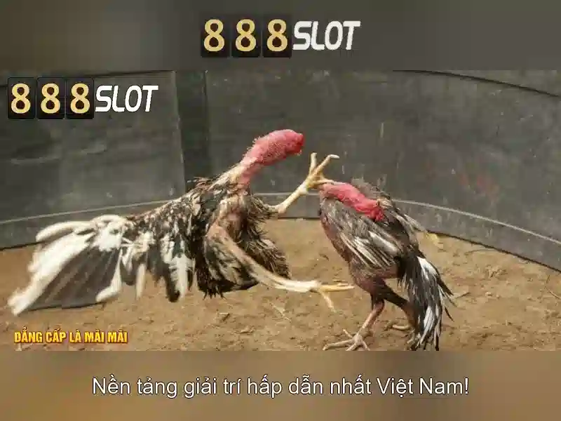 888slot – Đánh giá tổng quan về sòng bạc trực tuyến và trò chơi slot