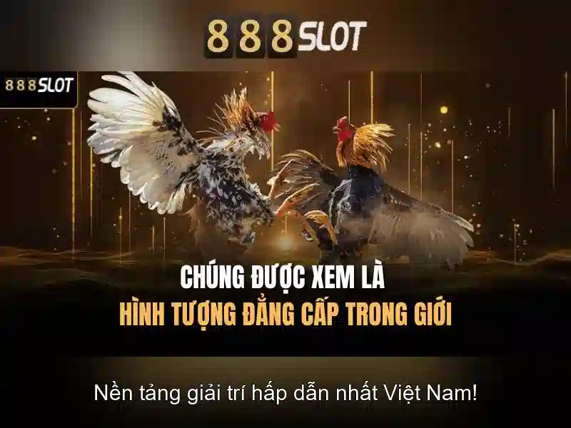 Khám phá 888slot