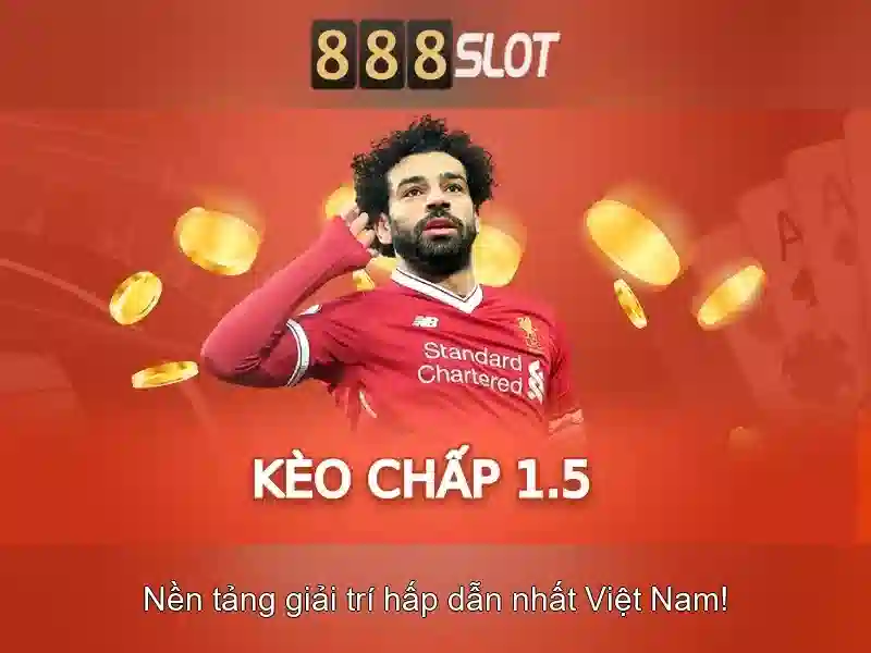 Các chương trình khuyến mãi và thưởng