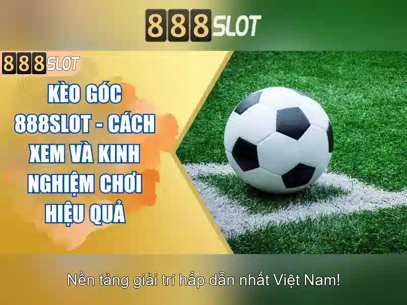 Kết luận