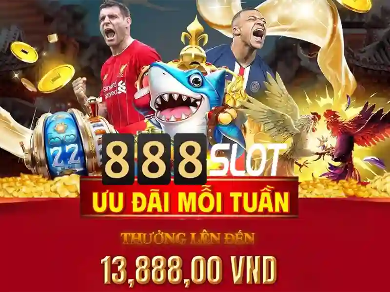 Trải nghiệm người dùng và hỗ trợ